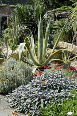 Vermiculite 100 litres - Jardin Couvert