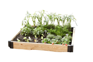 Carré Potager En Bois Naturel 800x800mm- - Jardin