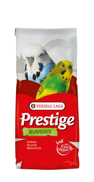 VERSELE-LAGA Orlux Premium Insect Pâtée pour Oiseau 2 kg : :  Animalerie