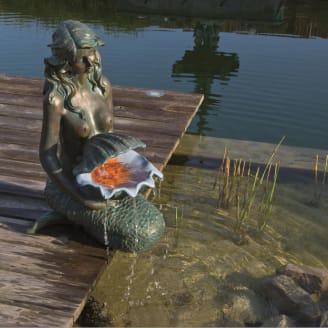 Tortue, H.14 cm, cracheur d'eau, décoration bassin, Ubbink, achat