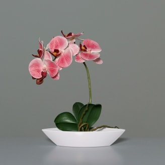 Orchidée-phalaeno 'fresh' artificielle céramique argent, crème - Jardiland