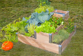 Piquet H pour carré potager écologique - Jardin Couvert
