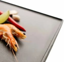 Char-broil Plaque Plancha Fonte – CHAR-BROIL