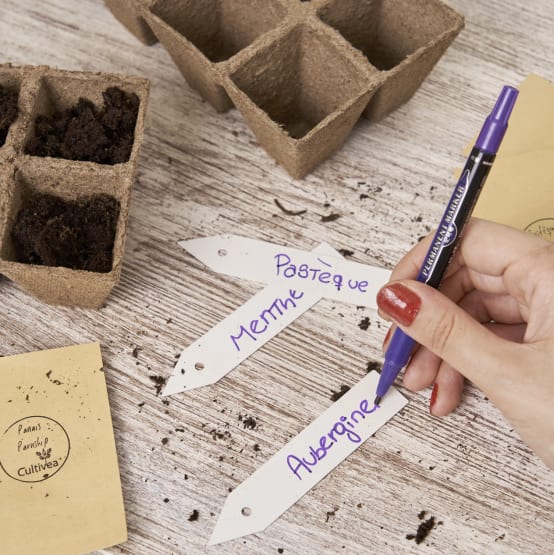 LOT DE 10 Enveloppes De Graines Aromatiques Différentes EUR 43,99 - FR