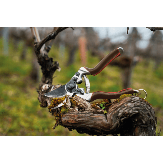 FELCO 13 Sécateur Bypass Droitier Grande Main, Lame 55 Mm, Coupe Jusqu