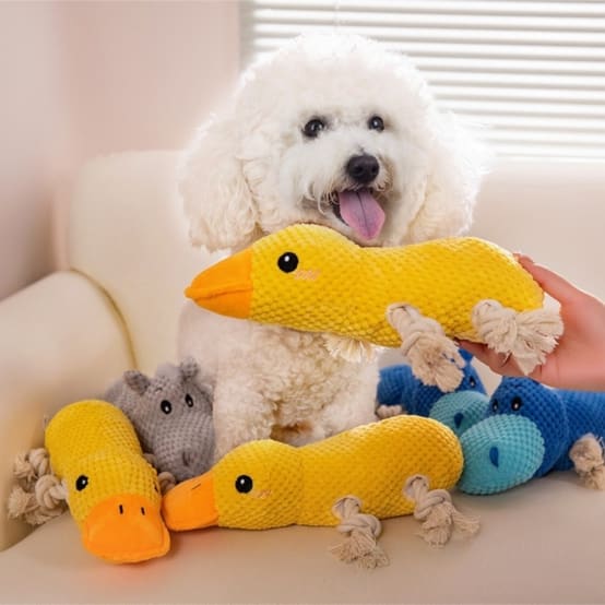 Vêtements En Peluche De Canard De Café De 30cm, Vêtements En Peluche De Canard De Dessin Animé