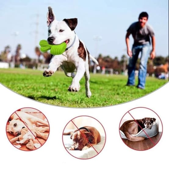 Jouets Couineurs En Peluche Panda Pour Chien, Jouet D'entraînement Molaires Durable Et à Mâcher Agressif Pour Garder Les Animaux Occupés, Entraînement Des Dents Molaires, Soulagement émotionnel, Jouet