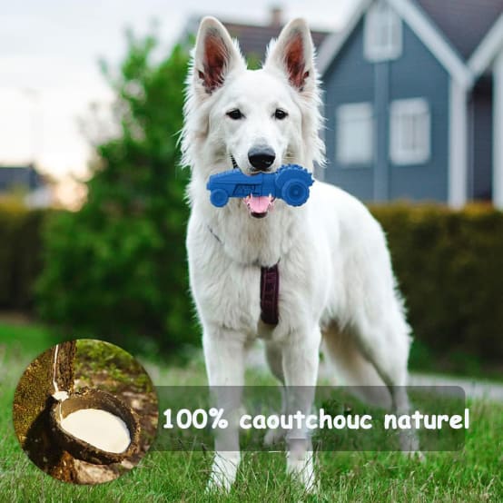 TESNN Jouets Couineurs Pour Chien, Jouets Couineurs Pour Chiens, Jouets