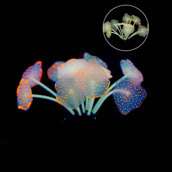 LiQunSweet Lot De 200 Mini Cabochons Opaques En Résine De