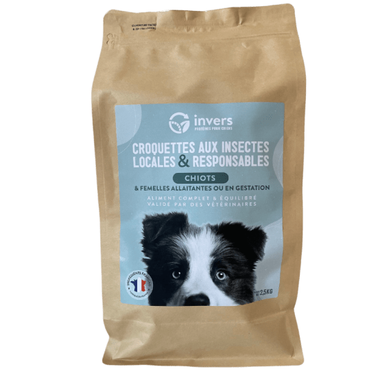 Croquettes aux insectes pour chiots et femelles allaitantes 2,5kg Invers Gamm vert