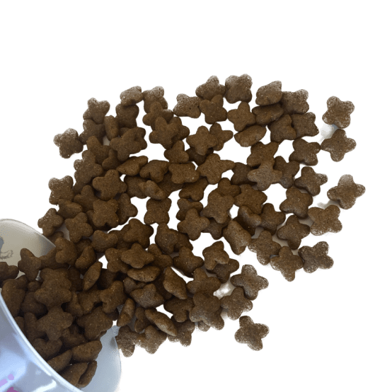Croquettes aux insectes pour chiots et femelles allaitantes 7,5kg Invers Gamm vert