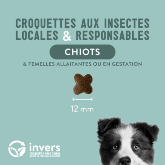 Croquettes aux insectes pour chiots et femelles allaitantes 7,5kg Invers Gamm vert