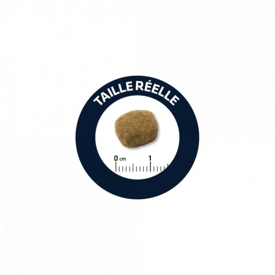 CROQUETTES CHIEN LIGHT MEDIUM ADVANCE 3 kg Gamm vert