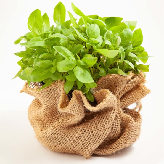 Toile de jute gamm vert cheap