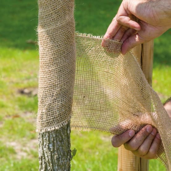 Toile de jute gamm vert top