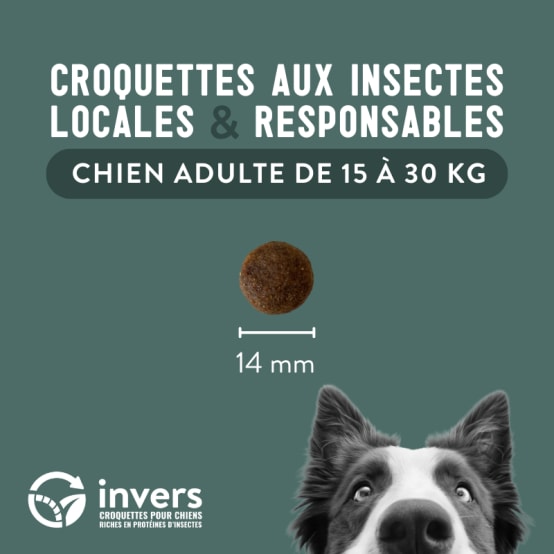 Croquettes aux insectes pour chien de taille moyenne 4kg Invers Gamm vert