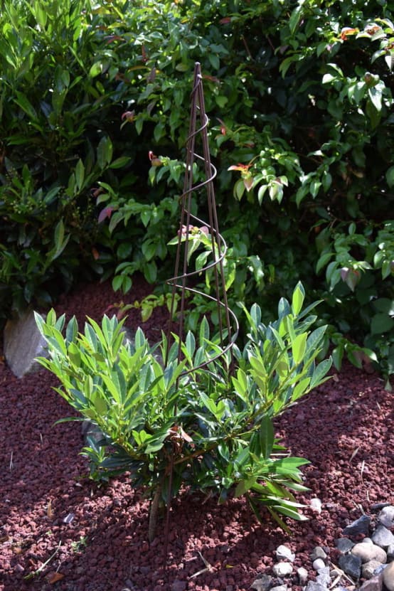 Louis Moulin : Arches De Jardin, Treillis Fabriqués En France