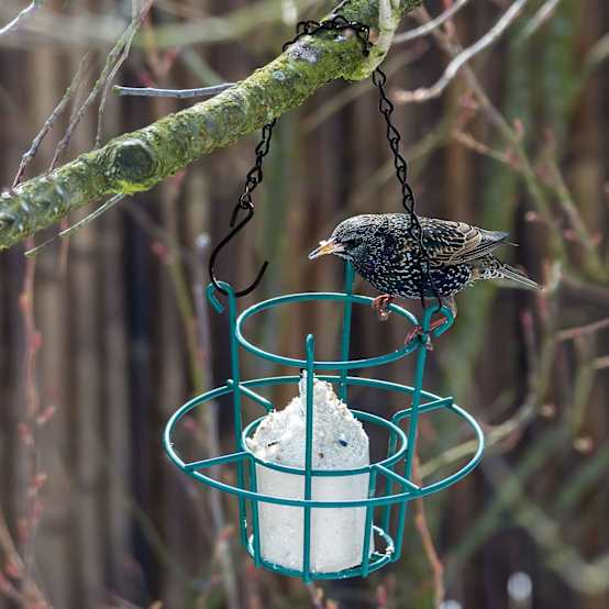 Panier Suspendu Pour Plantes Jardin Fleur Jardiniè... – Grandado