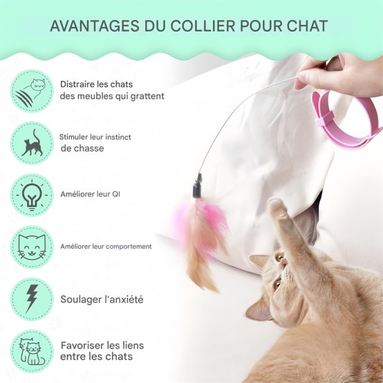 Canne à Pêche Télescopique Jouet Attrapeur Interactif Teaser Pour Chat Et