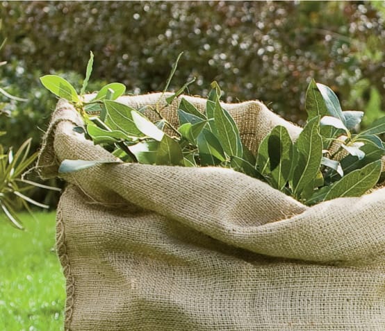 Toile de jute gamm vert cheap