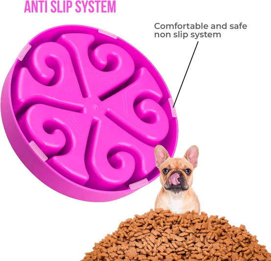 Gamelle Anti-Glouton - Vert - Gamelle Anti-glouton Chien - Gamelle Et Distributeur