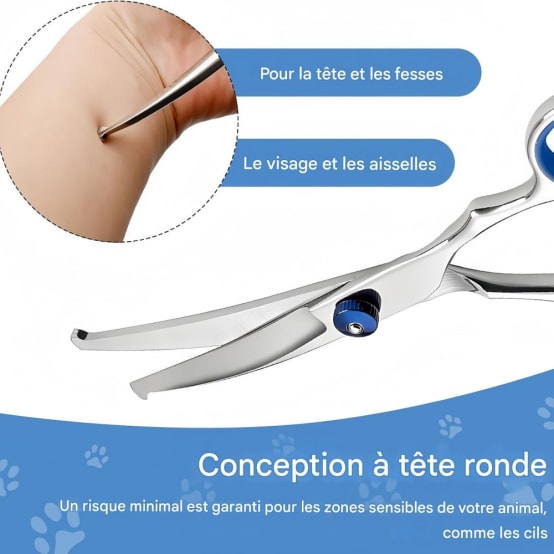 Ciseaux Coiffure De Chien, Ciseaux De Toilettage En Acier Inoxydable