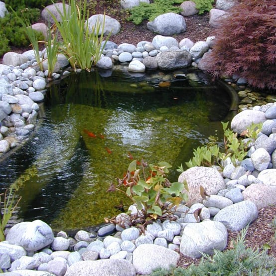Bassin de jardin préformé : conseils d'installation
