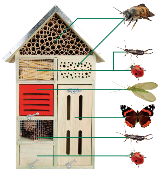 Hôtels à insectes - Structural 3D