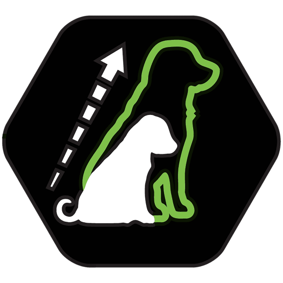 Pro Plan - Croquettes Medium Puppy Riche en Poulet 12 kg - Gamm vert