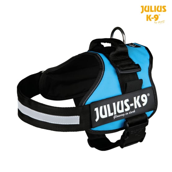 Acheter un harnais Julius K9 : prix, test et comparatif des modèles