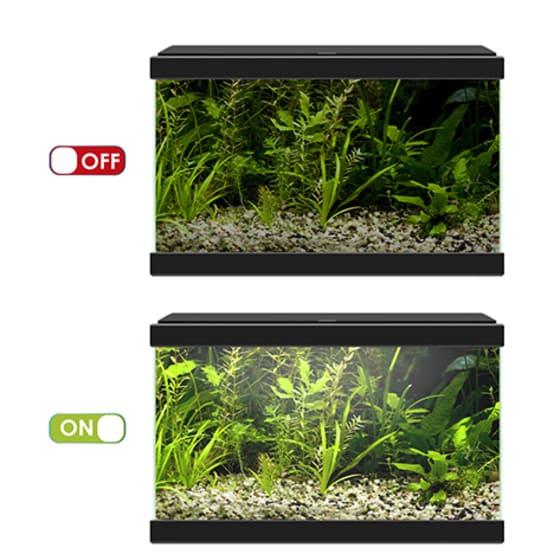 Eclairage pour aquarium - Gamm vert