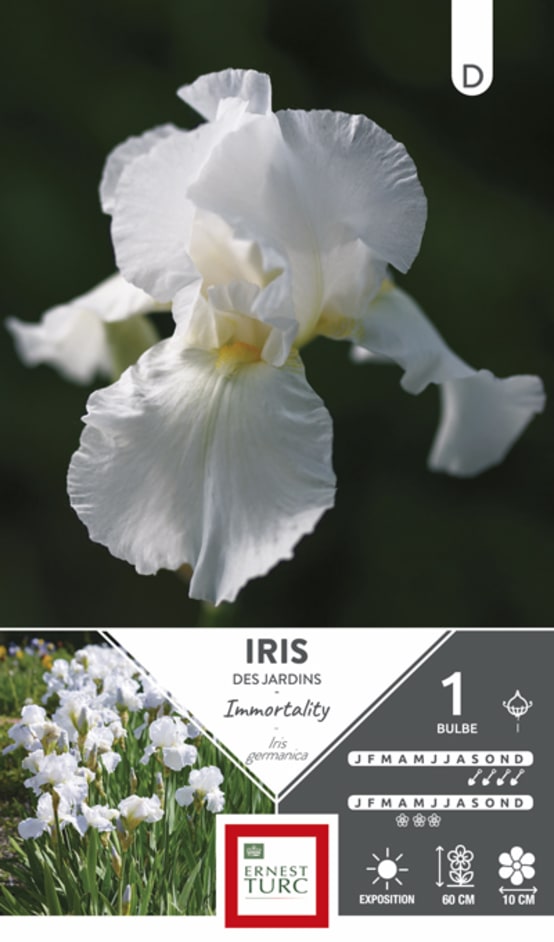 Ernest Turc Bulbes Iris Germanica Immortality Cali X1 Gamm Vert