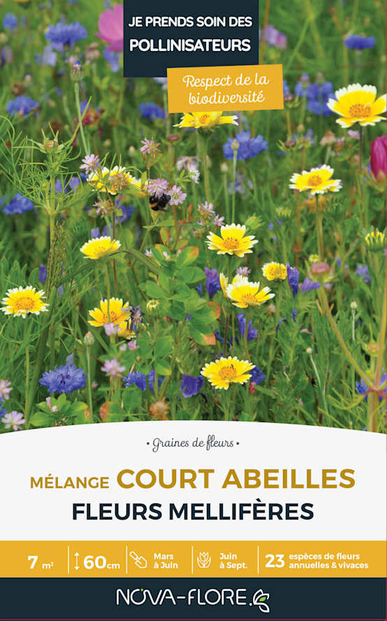 FLEURS POUR ABEILLES ET PAPILLONS EN MÉLANGE, Plante En Ligne
