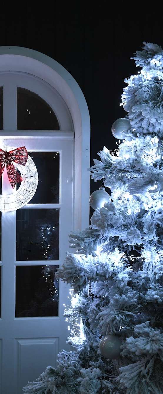 LOTTI Guirlande Lumineuse Grappe - 300 Micro-LED MiniCluster 5 Cm Blanc Chaud 2 5 M 81261339