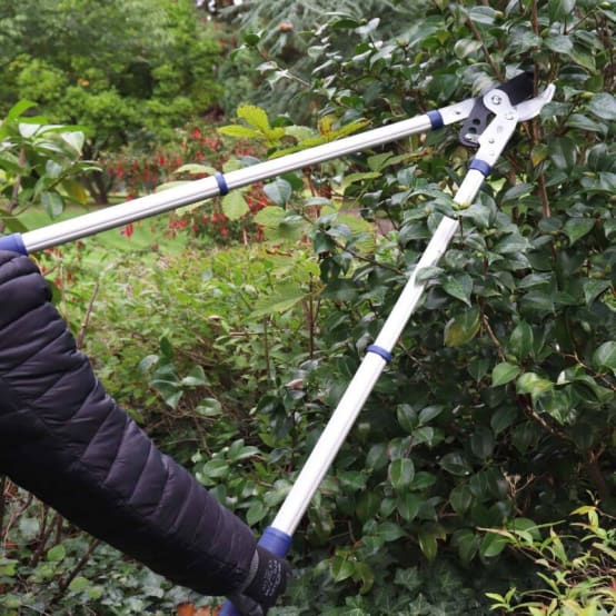 Élagueur Extensible De 71,1 à 101,6 Cm Pour Le Jardinage