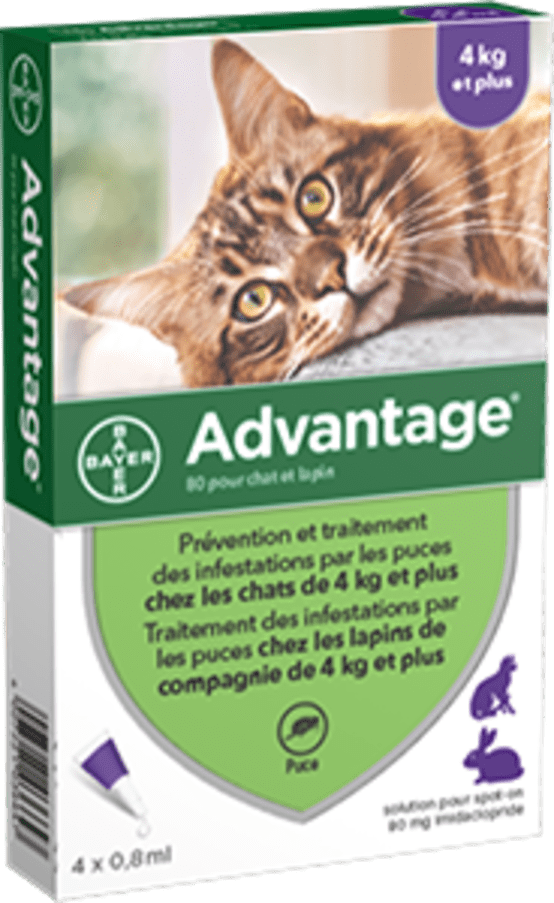 Advantage 80 Traitement antipuces chat et lapin 4 pipettes Gamm vert