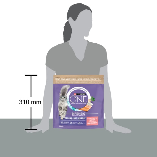 Purina one digestion sensible outlet