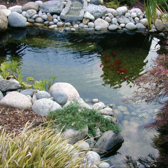 Bassin de jardin préformé Neptune V 3800L Ubbink - Gamm vert