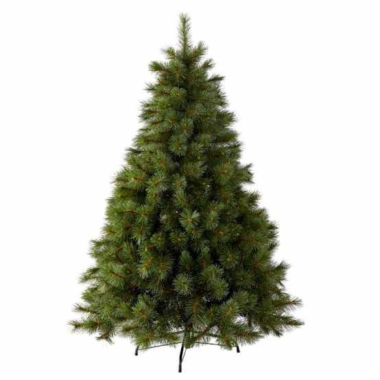Sapin Huez H.300 cm - ECLOZ – Image 4