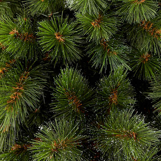 Sapin Huez H.300 cm - ECLOZ – Image 3