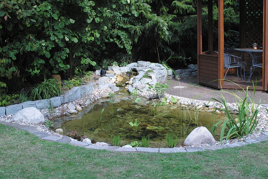 Conseils jardinage. Comment installer un bassin dans le jardin ?