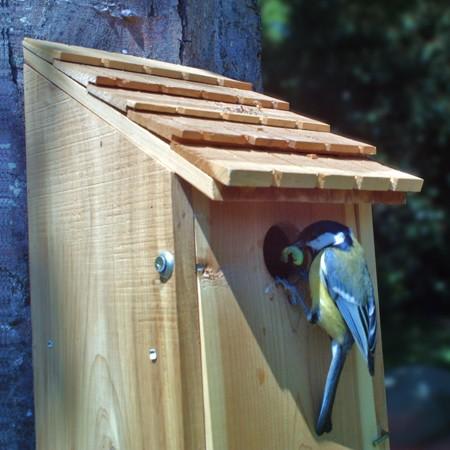 Installez un abri pour oiseaux dans votre jardin