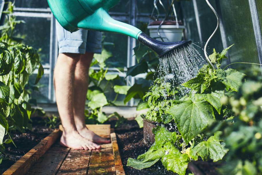 Offrez-vous cet arroseur automatique pour entretenir votre jardin