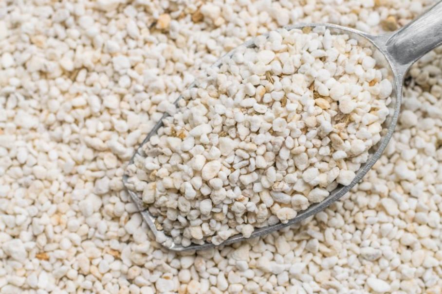 Perlite et vermiculite : pour quels usages au jardin ?