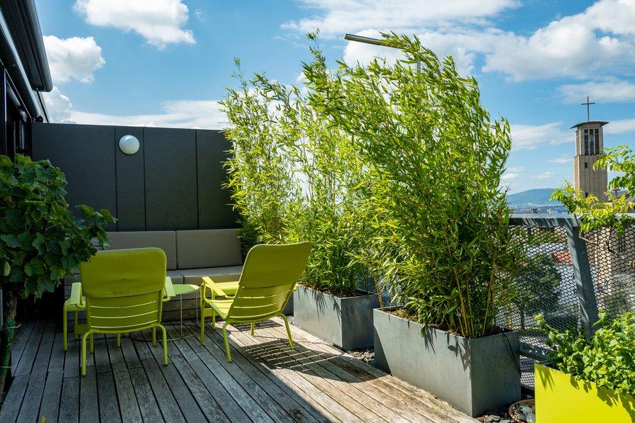 8 idées de brise-vue pour balcon et terrasse