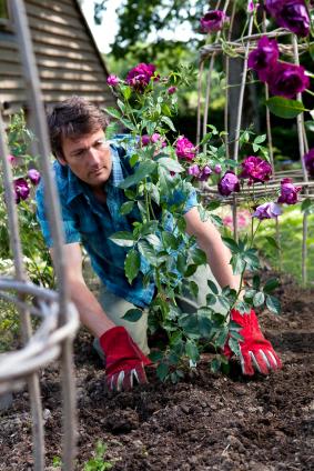 10 erreurs fréquentes du jardinier débutant