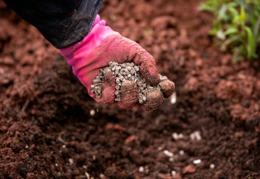 Engrais et fertilisants de jardin : quand et comment les utiliser ?