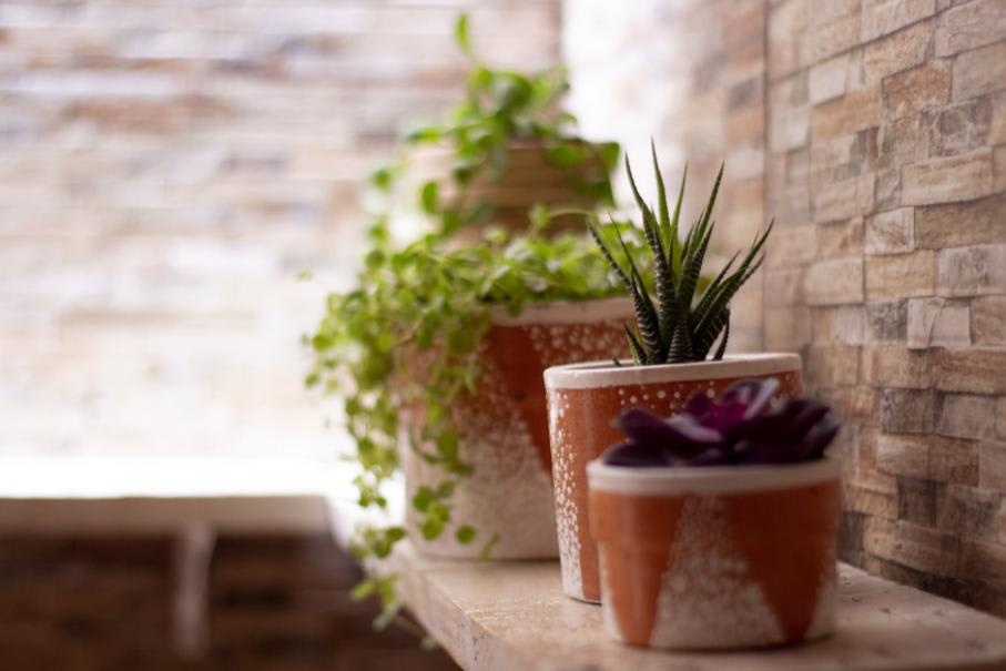7 façons originales d'intégrer des plantes dans son décor