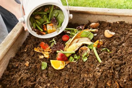 Composteur de jardin : découvrez le meilleur modèle 2024