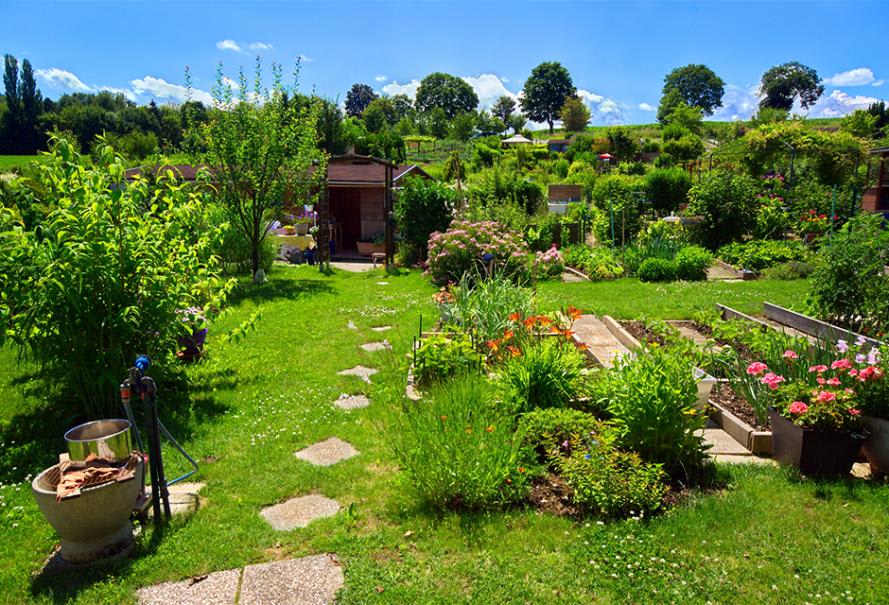 Décoration Jardin (conseils jardinage)